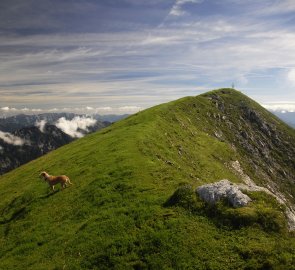 Pohled na Gamsfeld, nejvyšší hora pohoří Salzkammergut