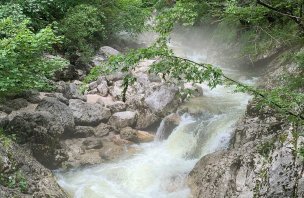 Výlet k vodopádu Savica u Bohinjského jezera