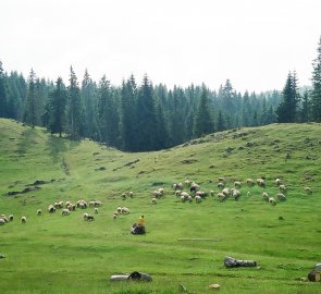 Pohoří Bihor