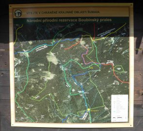 Informační tabule Boubínského pralesa