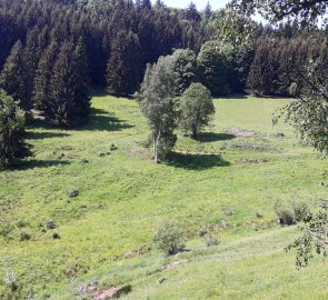 Začátek panoramatické stezky u Bečova v CHKO Slavkovský les