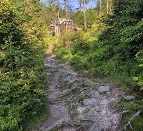 Turistická chata Severka leží kousek pod stejnojmenným vrcholem Severka 957 m n. m.