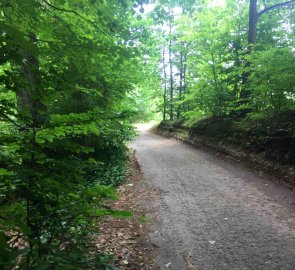 Lesní zpevněná cesta k Havraní skále
