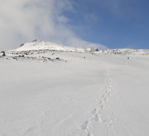 Sněhové pole pod hřeben na Svellnose