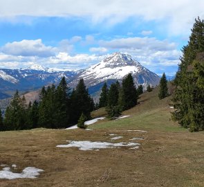 Pastvina na Hochstadelbergu