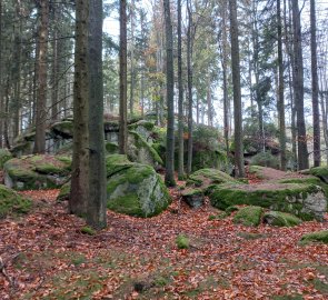 Skalky v lese cestou k Pilzsteinu