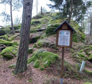 Schalenstein pod vrcholem Buchbergu