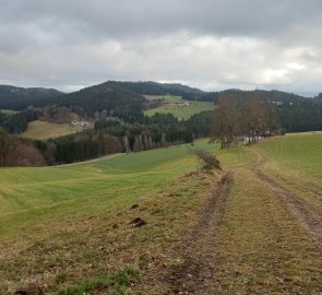 Cesta z Buchbergu na Sattlerberg