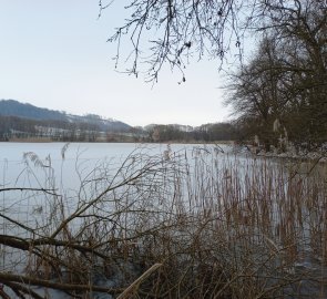 Lhotka pond