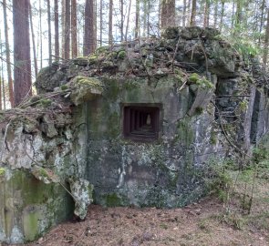 Another bunker in the woods