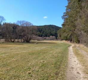 Cesta údolím Lohnbachu