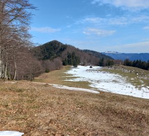 Pasture under the Linsberg
