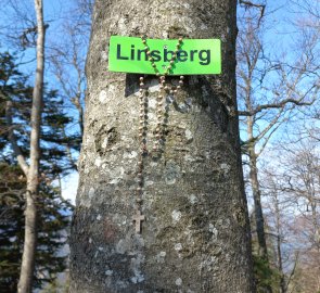 Vrchol Linsbergu