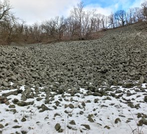 Kamenné pole na Plešivci