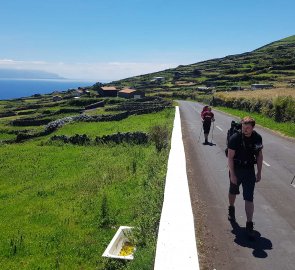 Cesta po silnici směrem k hoře Monte Gordo 540 m n. m. na ostrově Corvo