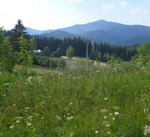 Beskydy - view of Lysá hora from NS Gruň