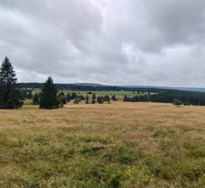 Meadows in the Krušné hory