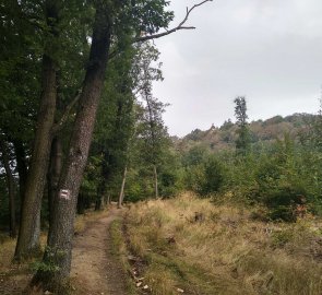 Lesní cesta na hrad Buchlov