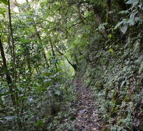 Cesta k vodopádu na druhé straně řeky Rio Unduavi