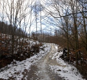 Lesní cesta na hrad Cimburk ve Chřibech