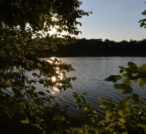 Západ sluníčka nad rybníkem