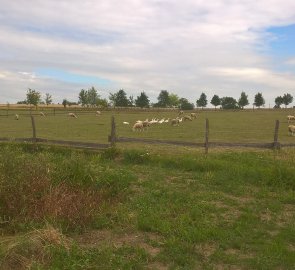 Zvířecí farma v obci Kozlov