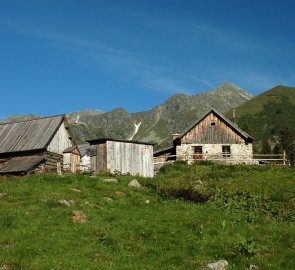 Salaše Scheibalm, kousek od chaty Edelraute Hütte