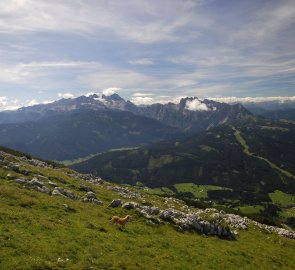 Dachstein a hřeben Gosaukamm ze svahů hory Gamsfeld