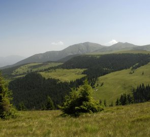 Pohled na nejvyšší horu pohoří - Vf. Pietrosu 2 303 m n . m.