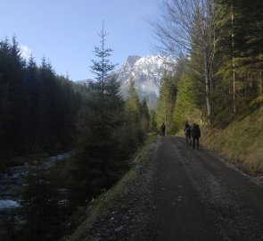 Cesta do hor podel potoka Pölzalm Bach