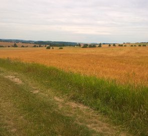 Krajina v okolí obce Kozlov