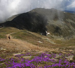 Alpská květena a hora Scharfes Eck, na které se nachází meteorologická stanice