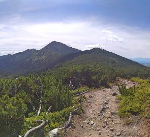 Pohled z výstupu na Pálenici na Sivý vrch