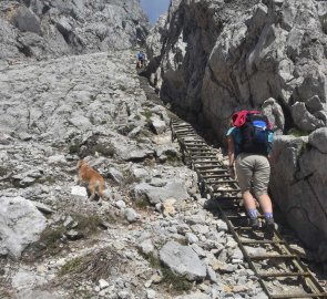 The most difficult section of the route - the Das G´hackte route
