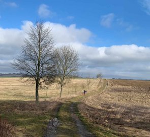 Field path to Holštejn