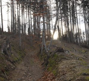 Cesta ve vrchní části výstupu na Kubánkov 660 m n. m. - Palkovické hůrky