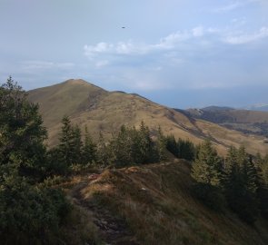 View from Barvinok mountain in Ukraine