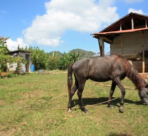 Jedna z farem ve Valle de Viñales na Kubě