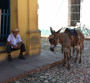 V centru města Trinidad si můžete na cestu najmout nejen koně
