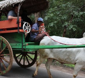 Jeden z druhů místní dopravy na Sri Lance