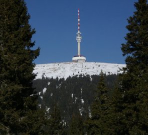 Pohoří Jeseníky - vrchol hory Praděd 1 491 m n. m.