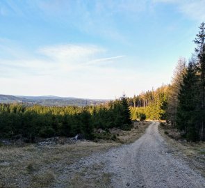Lesní cesta k osadě Milíře
