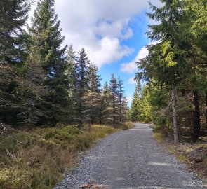 Široká cesta na kopec Lesný