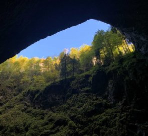 View from the bottom of the Macocha abyss