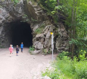 Nástup na cestu Miesweg je vpravo od tunelu
