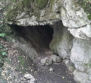 Entrance to the Netopyrka Cave
