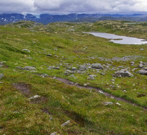 Pěšina na náhorní plošině národního parku Hardangervidda