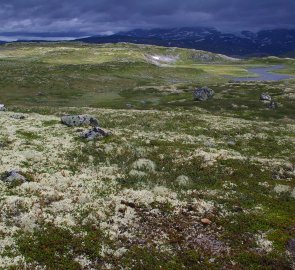 Turistika k chatě Kjeldebu v národním parku Hardangervidda