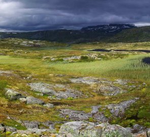 Národní park Hardangervidda v jižním Norsku