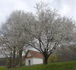 Kaplička nad obcí Boňkov